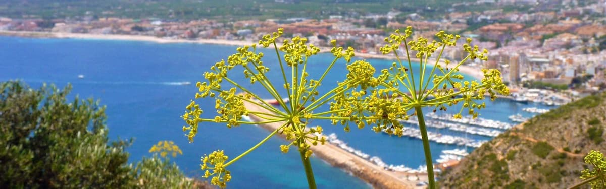 Uitzicht javea